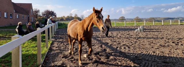 Connecting with Roma during a clinic